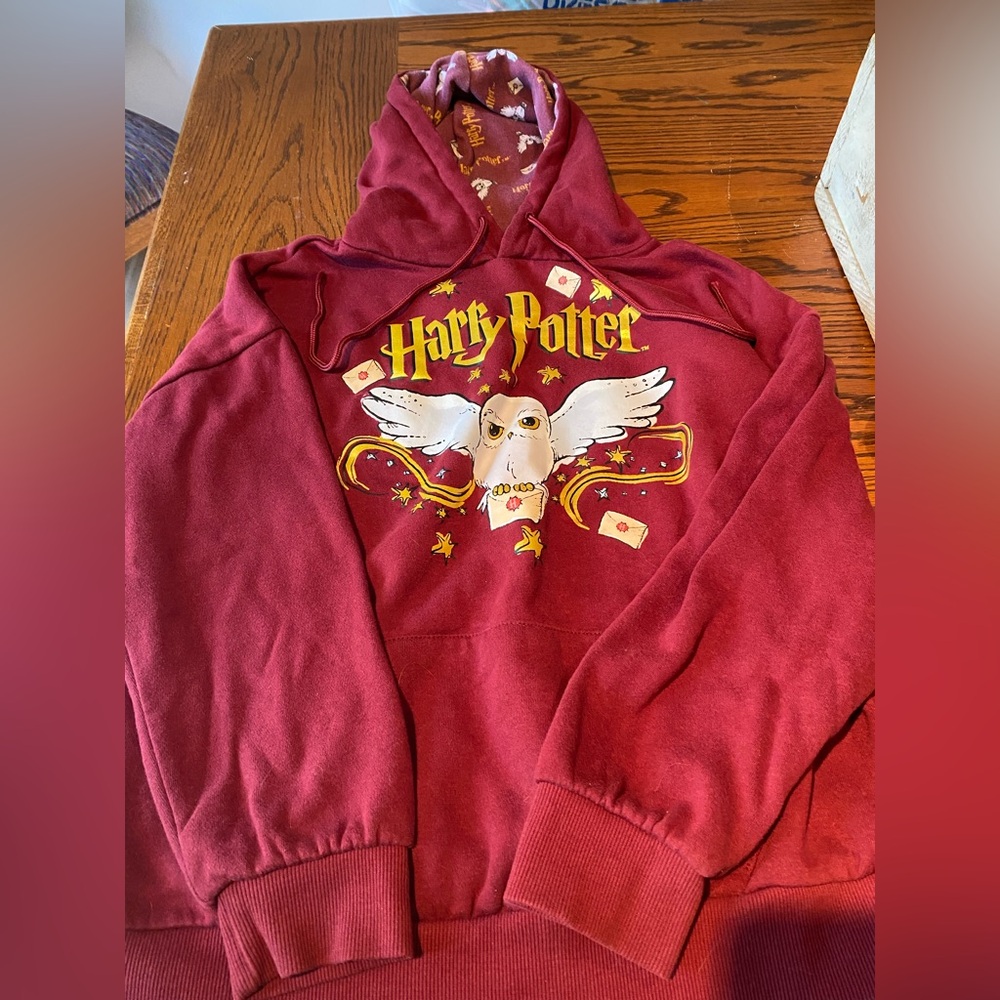 Warner Bros. Burgundy Harry Potter Hoodie with Owl Design